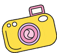 Camera Picture Sticker - Camera Picture Say Cheese Stickers