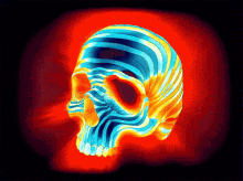 Skull Glowing GIF - Skull Glowing GIFs