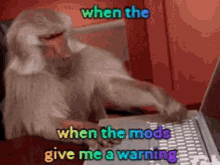 discord mods moderators angry monkey when the mods mods