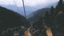 nature mountain zipline cablecar