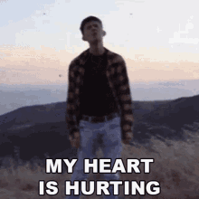 My Heart Is Hurting Presence GIF - My Heart Is Hurting Presence Hide My Scars Song GIFs