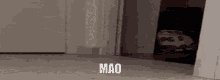 Mao Lamo GIF - Mao Lamo GIFs
