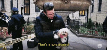 National Puppy Day Nbc GIF - National Puppy Day Puppy Puppy Day GIFs