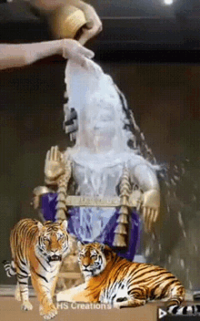 Ayyappa Swami GIF - Ayyappa Swami Milk GIFs