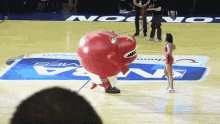 toronto raptors the raptor eating cheerleader raptors toronto raptors the raptor eating cheerleader raptors