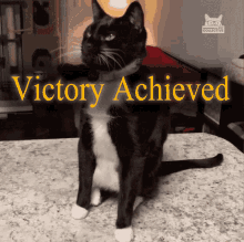 Victory Achieved GIF - Victory Achieved Victory Achieved GIFs