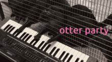Otter Party Otter GIF - Otter Party Otter Otters GIFs