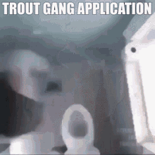 trout gang