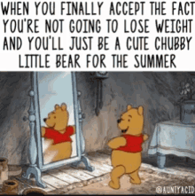 Winnie The Pooh Mirror GIF - Winnie The Pooh Mirror Chubby Bear For The Summer GIFs