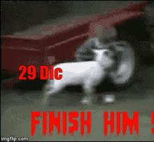 merlucio finish him dog puppy kid merlucio finish him dog puppy kid