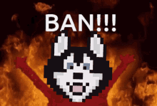 Ban Banhosky GIF - Ban Banhosky Hosky GIFs