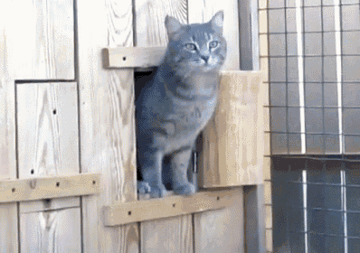 cold-outside.gif