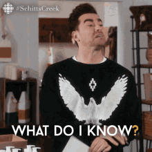 What Do I Know Dan Levy GIF - What Do I Know Dan Levy David GIFs