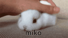 Miko Wenis Gang GIF - Miko Wenis Gang GIFs