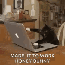 Cat Work GIF - Cat Work Typing GIFs