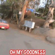 Oh My Goodness Stephen Sharer GIF - Oh My Goodness Stephen Sharer Oh My God GIFs