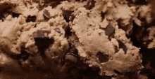 Cookies Cookie Batter GIF - Cookies Cookie Batter Batter GIFs