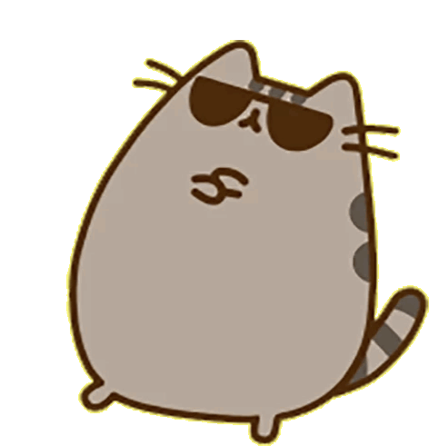 sunglasses pusheen