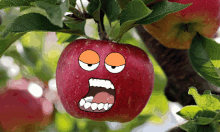 Poma Avorrida Bored Apple GIF - Poma Avorrida Poma Avorrida GIFs