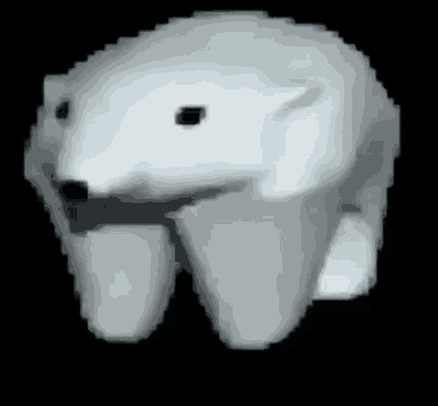 Polar Bear,Walking,Cute,Black Background,animal,gif,animated gif,gifs,meme.