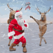 Santa Claus Reindeer GIF - Santa Claus Reindeer Seasonal GIFs