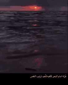 Isolated In Front Of The Sea Enough To Rearrange The Self Calm GIF - Isolated In Front Of The Sea Enough To Rearrange The Self Sea Calm GIFs