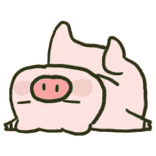 wechat pig legs up lazy