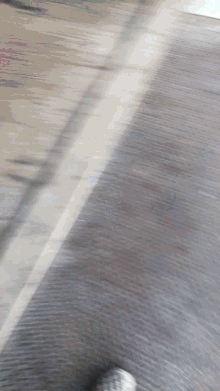 cars cars