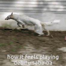 Debiru Sabaiba Devil Survivor GIF - Debiru Sabaiba Devil Survivor Megaten GIFs