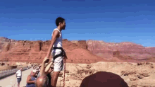 Grand Canyon Bungee Jumping GIF - Grand Canyon Bungee Jumping GIFs