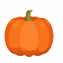 Pumpkin Pumpkin Vine GIF - Pumpkin Pumpkin Vine GIFs