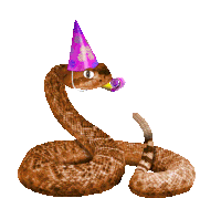 Rattle Snake Celebrating Sticker - Rattle Snake Celebrating Happy Birthday Stickers