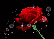 Rose Day Hearts GIF - Rose Day Rose Hearts GIFs