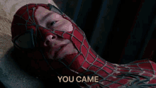 Spider Man You Came GIF - Spider Man You Came Spider Man Came GIFs