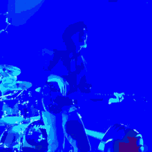 oysterhead claypool les bass oysterhead claypool les bass
