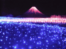 イルミネーション　富士山 GIF - Jpillumination Fujisan Fuji GIFs
