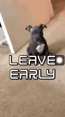 Leave Early Dogs GIF - Leave Early Dogs Funny Animals GIFs
