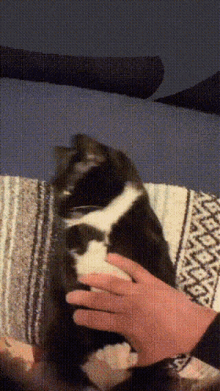 Cat Trapped GIF - Cat Trapped Kitten GIFs