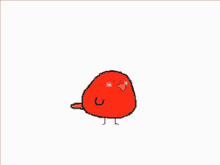 birb red bird meme stares into soul really red bird