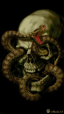 Skull Snake GIF - Skull Snake Eyes GIFs