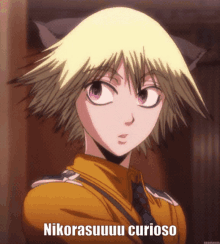 nikorasu nikorasuuuu curioso schrodinger cat