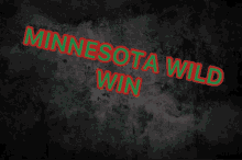 Minnesota Minnesota Wild GIF - Minnesota Minnesota Wild Mnwild GIFs