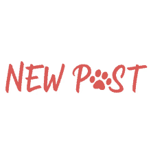 new post petsxl paw dog cat