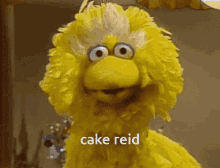 Cake Reid GIF - Cake Reid Cake Reid GIFs