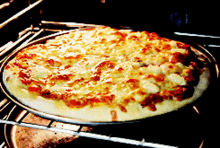 pizza pizza in oven pizza day food pizza pizza in oven pizza day food