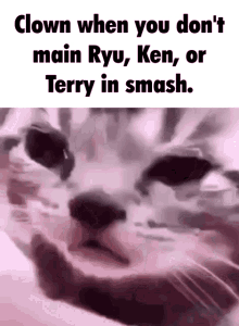 smash ken ryu terry