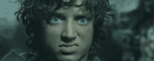 Wut GIF - Lord Of The Ring Elijah Wood Frodo Baggins GIFs