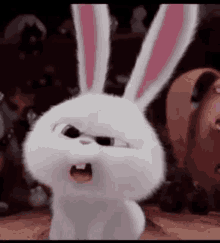 The Rabbit Surprised GIF - The Rabbit Surprised GIFs