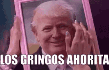 gringos kawai