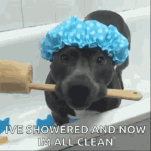 Shower Funny Animals GIF - Shower Funny Animals Dog GIFs